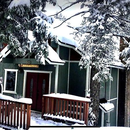 Hallelujah Forest Villa Big Bear Lake Bagian luar foto
