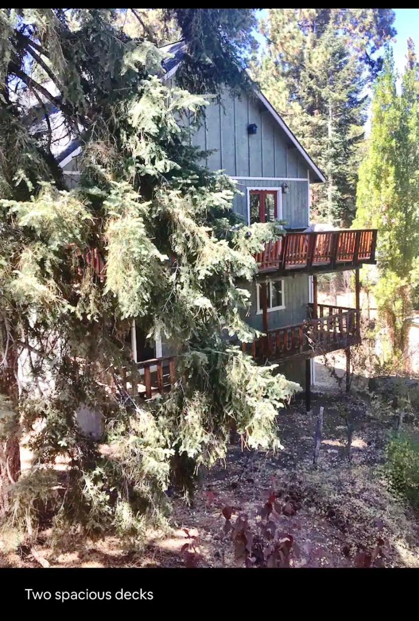 Hallelujah Forest Villa Big Bear Lake Bagian luar foto